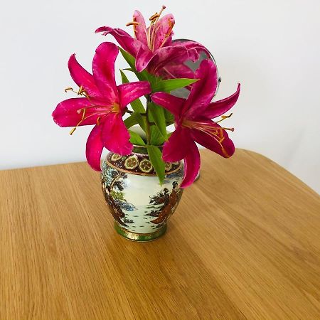 Apartament Niebieski Duszniki Zdrój Buitenkant foto